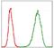 DNA replication licensing factor MCM2 antibody, NBP2-37544, Novus Biologicals, Flow Cytometry image 