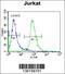 Round Spermatid Basic Protein 1 antibody, 55-902, ProSci, Immunofluorescence image 