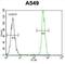 Hematological and neurological expressed 1 protein antibody, abx028314, Abbexa, Flow Cytometry image 