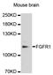 Fibroblast Growth Factor Receptor 1 antibody, LS-C746709, Lifespan Biosciences, Western Blot image 