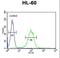 Carbohydrate Sulfotransferase 2 antibody, LS-C168762, Lifespan Biosciences, Flow Cytometry image 