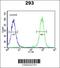 Enhancer Of Polycomb Homolog 2 antibody, 61-836, ProSci, Immunofluorescence image 