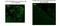 Rat IgG Isotype Control antibody, A-11006, Invitrogen Antibodies, Immunofluorescence image 