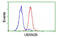 UBX Domain Protein 2B antibody, MBS832248, MyBioSource, Flow Cytometry image 