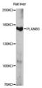 Plexin B3 antibody, LS-C749751, Lifespan Biosciences, Western Blot image 