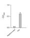 Helicobacter pylori urease B antibody, NBP2-42852, Novus Biologicals, Enzyme Linked Immunosorbent Assay image 