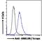 Anillin Actin Binding Protein antibody, PA5-18199, Invitrogen Antibodies, Flow Cytometry image 