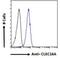 Protein CLEC16A antibody, NBP1-00171, Novus Biologicals, Flow Cytometry image 