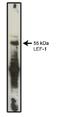 Lymphoid Enhancer Binding Factor 1 antibody, AM05260PU-L, Origene, Western Blot image 