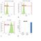 Mouse IgG2b antibody, A-21147, Invitrogen Antibodies, Flow Cytometry image 