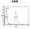 Abhydrolase Domain Containing 12 antibody, GTX80950, GeneTex, Flow Cytometry image 