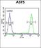Adhesion G Protein-Coupled Receptor L2 antibody, orb234892, Biorbyt, Flow Cytometry image 
