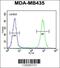 Calmodulin Regulated Spectrin Associated Protein 1 antibody, 55-750, ProSci, Immunofluorescence image 