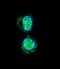 Homeobox A10 antibody, LS-C164972, Lifespan Biosciences, Immunofluorescence image 