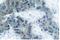 Janus Kinase 2 antibody, AP01621PU-N, Origene, Immunohistochemistry frozen image 