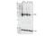Protein CYR61 antibody, 39382S, Cell Signaling Technology, Western Blot image 