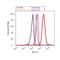 Heat shock 70 kDa protein 1A/1B antibody, 33-3800, Invitrogen Antibodies, Flow Cytometry image 