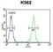 WRN RecQ Like Helicase antibody, abx026592, Abbexa, Flow Cytometry image 