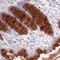 Zinc Finger DHHC-Type Containing 2 antibody, PA5-54768, Invitrogen Antibodies, Immunohistochemistry frozen image 