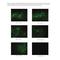 Epithelial Cell Adhesion Molecule antibody, IQ446, Immuquest, Western Blot image 