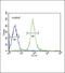 Haptoglobin antibody, 63-707, ProSci, Immunofluorescence image 