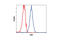 p53 antibody, 4667S, Cell Signaling Technology, Flow Cytometry image 