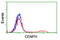 Centromere Protein H antibody, TA503912, Origene, Flow Cytometry image 