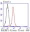 RalA Binding Protein 1 antibody, NBP2-67633, Novus Biologicals, Flow Cytometry image 