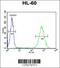Class E basic helix-loop-helix protein 22 antibody, 61-659, ProSci, Flow Cytometry image 