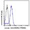 Proteasome Assembly Chaperone 1 antibody, PA5-19076, Invitrogen Antibodies, Flow Cytometry image 