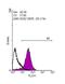 SRY-Box 2 antibody, GTX101507, GeneTex, Flow Cytometry image 
