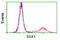 SSX Family Member 1 antibody, TA502724, Origene, Flow Cytometry image 