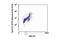 Cyclin B1 antibody, 4135S, Cell Signaling Technology, Flow Cytometry image 