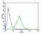 Protein FAM168B antibody, PA5-72218, Invitrogen Antibodies, Flow Cytometry image 