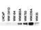 Bridging Integrator 1 antibody, TA319579, Origene, Western Blot image 