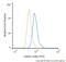 LIM Domain Only 2 antibody, NBP2-37442, Novus Biologicals, Flow Cytometry image 