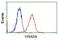 von Willebrand factor A domain-containing protein 5A antibody, NBP2-02898, Novus Biologicals, Flow Cytometry image 