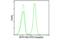 CD19 antibody, 53343S, Cell Signaling Technology, Flow Cytometry image 