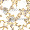 Proteasome Subunit Alpha 1 antibody, A2523, ABclonal Technology, Immunohistochemistry paraffin image 