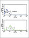 B1 bradykinin receptor antibody, LS-C156783, Lifespan Biosciences, Flow Cytometry image 
