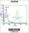 Aspartyl-TRNA Synthetase antibody, 55-617, ProSci, Immunofluorescence image 