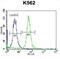 Ras-related protein Rab-3D antibody, abx027281, Abbexa, Flow Cytometry image 