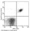 Complement receptor type 2 antibody, 10811-R257-A, Sino Biological, Flow Cytometry image 