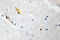 Pan antibody, LS-C177012, Lifespan Biosciences, Immunohistochemistry frozen image 