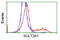 DHEA-ST antibody, LS-C115596, Lifespan Biosciences, Flow Cytometry image 