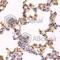 Caspase 3 antibody, A0214, ABclonal Technology, Immunohistochemistry paraffin image 