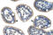 Nudix Hydrolase 21 antibody, ARP40695_T100, Aviva Systems Biology, Immunohistochemistry frozen image 