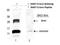 Growth Differentiation Factor 15 antibody, TA319179, Origene, Western Blot image 