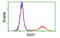 Protein SSX1 antibody, MBS834538, MyBioSource, Flow Cytometry image 