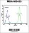 AlkB Homolog 6 antibody, 55-757, ProSci, Immunofluorescence image 